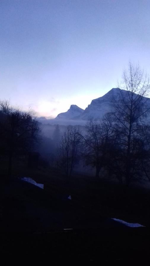 Hotel Chalet Les Airelles Les Carroz d'Araches Zewnętrze zdjęcie
